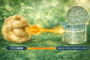 セルロースナノファイバー（CNF）事業のイメージ
